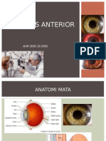 Uveitis Arifi (030.10.039)