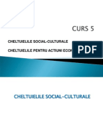 Curs 5 - CH Social Culturale