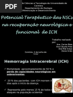 Apresentação de Diferenciação