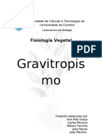 Relatorio - Gravitropismo - Final