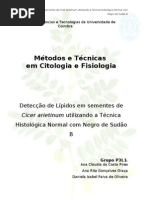 Deteção de lipidos c negro sudao B