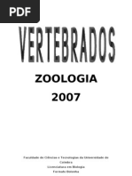 Vertebra Dos