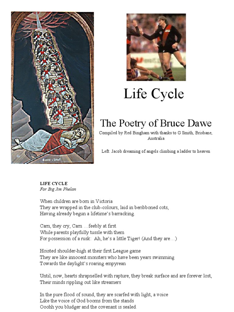Life Cycle by Bruce Dawe | PDF | Maize | Australian Rules Football
