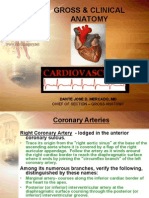 Clinical Anatomy Cardiovascular