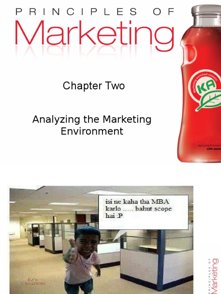 Chapter Two: Analyzing The Marketing Environment | PDF | Business ...