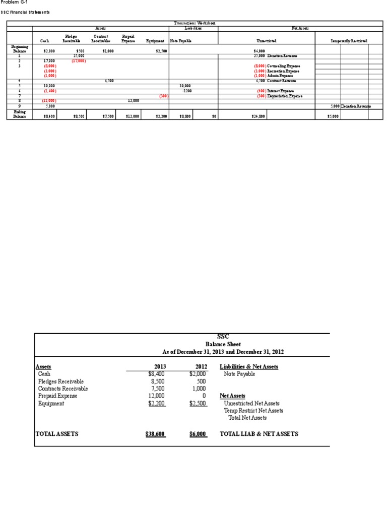 SSC Financial Statements Overview 2013 | PDF