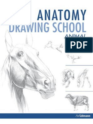 Anatomy Drawing School Animal | PDF | Nature | Books