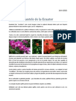 Portofoliu Stiinte_plantele de la Ecuator