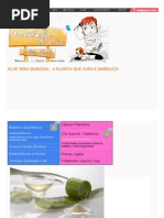 Aloe Vera (Babosa) - A Planta Que Cura e Embeleza _ Clube Do Cabelo e CIA