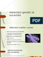 0 Materialul Genetic La Eucariote