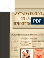 Anatomia y Fisiologia Del Aparato Reproductor Femenino