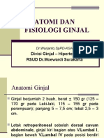 anatomi-ginjal (1)