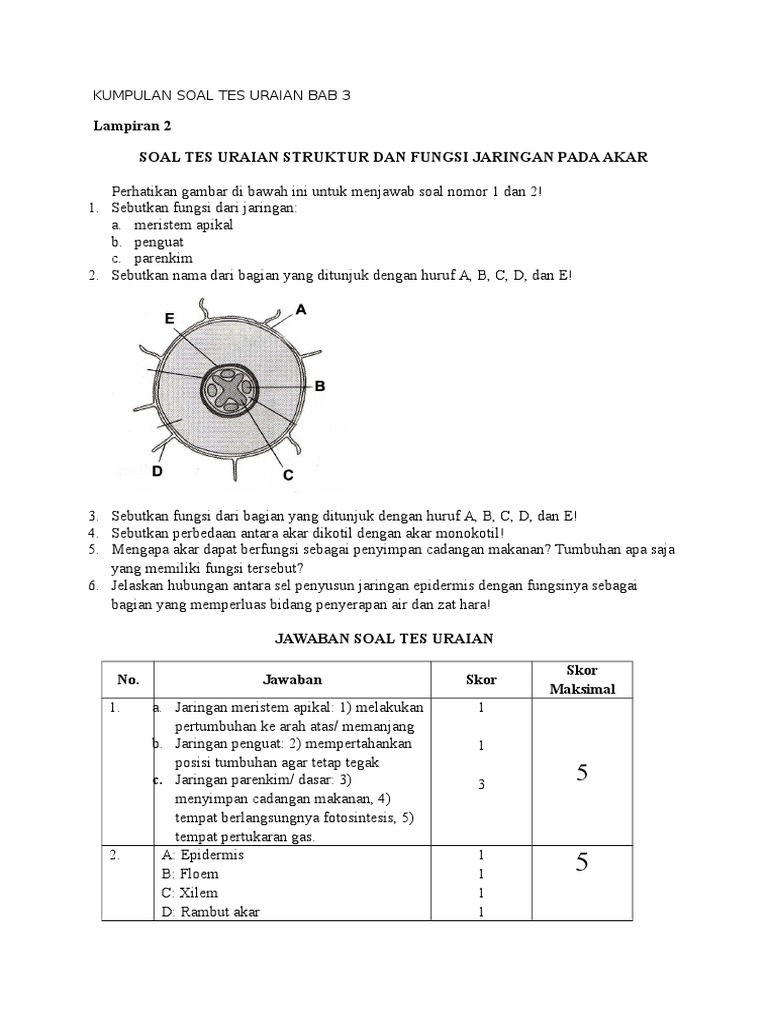 Kumpulan Soal Tes Uraian Bab 3 Ipa Smp Kelas 8