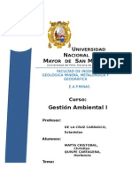 Gestión Ambiental 