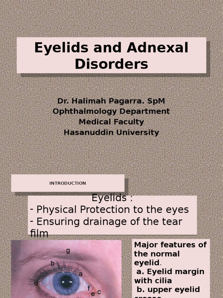 Eyelids Adnexal Diseases Of The Eye And Adnexa Organ (Anatomy)