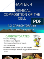 4.2 Carbohydrates