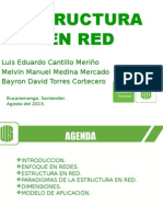 Exposicion Estructuras en Red