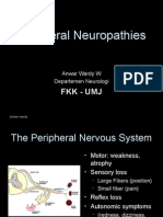 Periferal Neuropathy 06