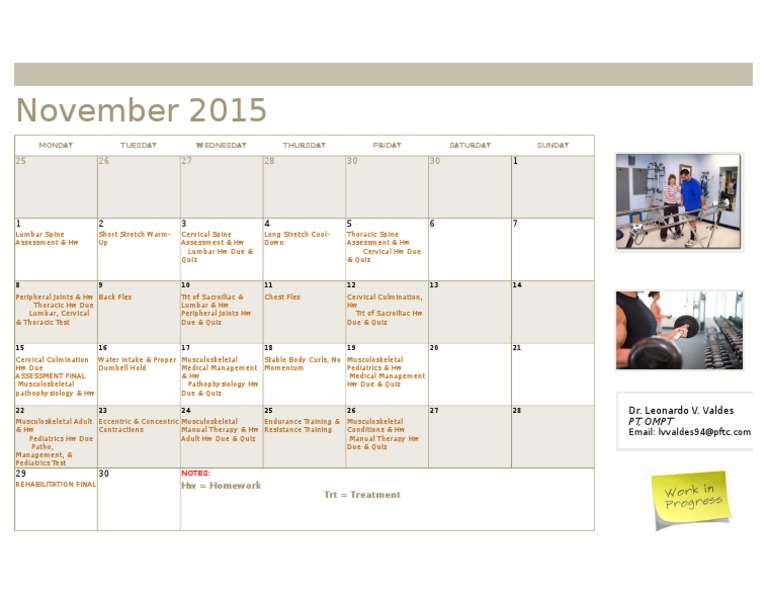 Physical Therapy Study Schedule | PDF | Vertebral Column | Skeletal System