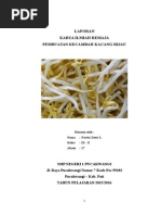 Download LAPORAN KECAMBAH by NomNoman SN291785981 doc pdf