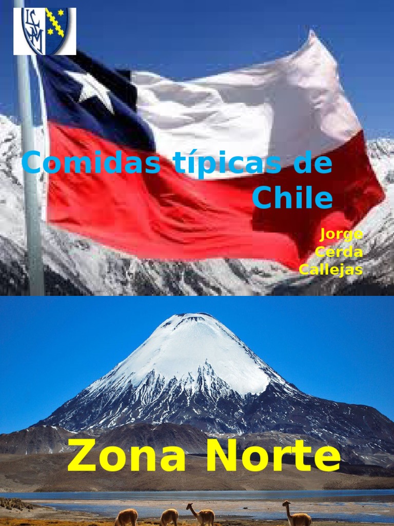 Comidas Típicas de Chile | PDF | Ciencias sociales | Salud y bienestar