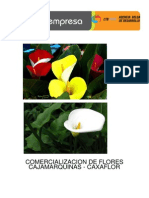 Estudio de prefactibilidad para la creacion de una floreria en la ciudad de Cajamarca
