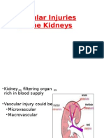 Vascular Injuries To The Kidneys-Lecture 2013