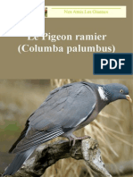 Nalo Doc Pigeon Ramier