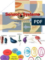 Sensory System PDF