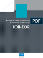 IOR_EOR.pdf