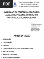AVALIAÇÃO DA CONTAMINAÇÃO DA RIO Jaguaribe
