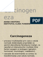 Carcinogeneza Curs Studenti 2015