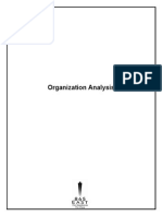 organization analysis ltle 380