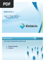 CCJ0016 WL D AMMA 11 Poder Familiar e Proteção Dos Filhos