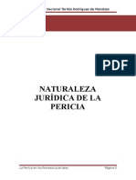 naturaleza juridica de pericias.doc
