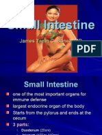 Small Intestine (2)