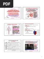 A notável arte da punção de sangue venoso.