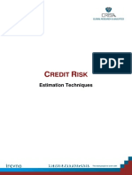 Credit Risk Estimation Techniques