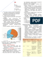 Resume Embriologi Kepala Dan Leher