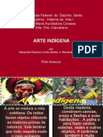Arte Dos Indios Brasileiros 