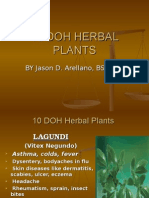 10 Doh Herbal Plants by Jason