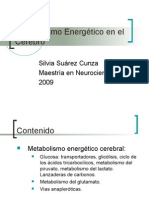 Metabolismo+Energético+en+el+Cerebro