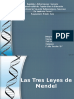 Leyes de Mendel