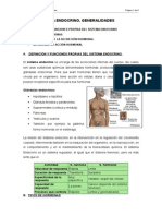 Sistema Endocrino