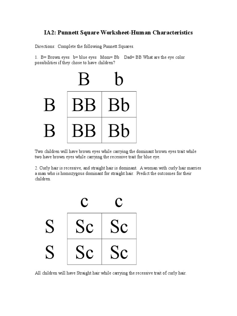 b-b-bbbbb-bbbbb-ia2-punnett-square-worksheet-human-characteristics-pdf-dominance-genetics-genetics