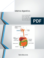 Presentacion Sis. Digestivo 2015