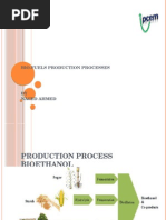 Biofuel Production Process