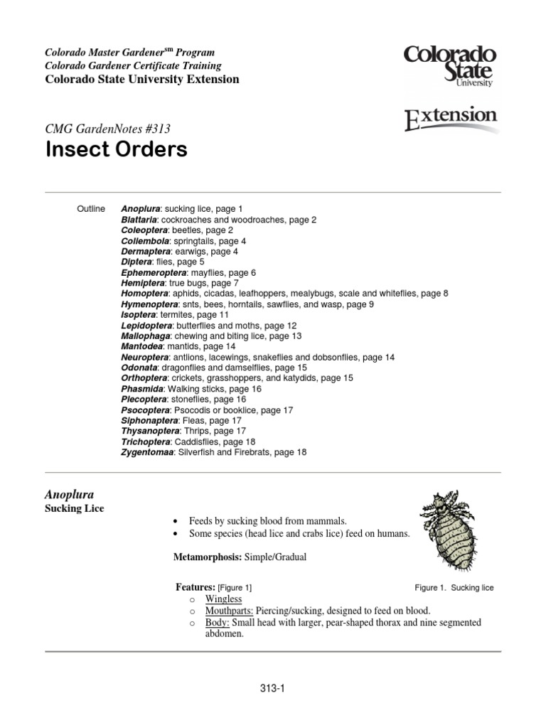 Insect Orders CMG Gardennotes 313 PDF Beetle Fly