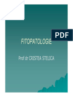 2011 Fitopato1