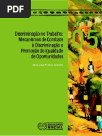 Discriminação no Trabalho- Mecanismos de Combate à Discriminação e Promoção de Igualdade de Oportunidades